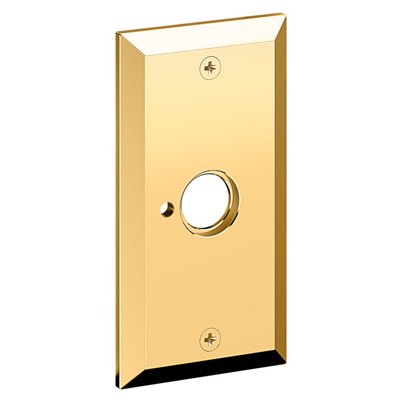 Unlacquered Brass Beveled Rectangular Privacy Rose Plate