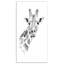 Girafe en noir et blanc - reproduction d'art sur toile tendue-29495846