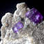 Yaogangxian Fluorite with Arsenopyrite on Mica
