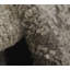 Bristol Ikat Area Rug in Black/Gray-459392814
