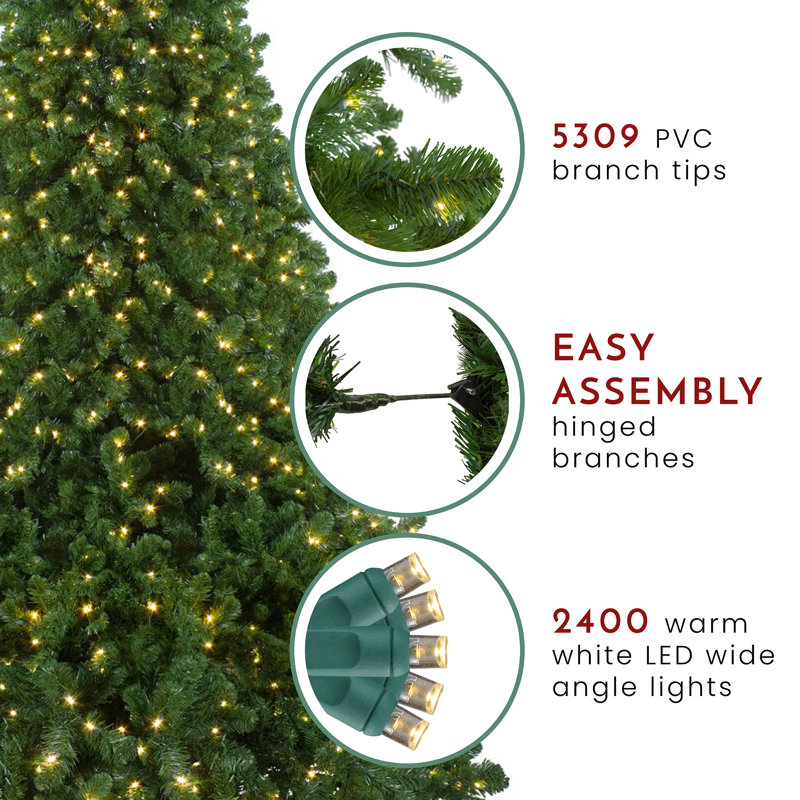 Pre-Lit Full Olympia Pine Artificial Christmas Tree With Clear/White Lights, 12'