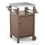 Chariot de barbecue HDPE, chariot de service de table de salle à manger d'extérieur-1119170912