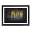 Sunlight Forest Vol.4 Paint Splash - Picture Frame Graphic Art-62806297-62806302