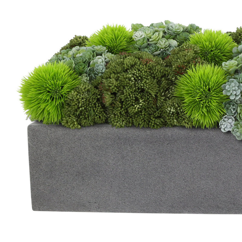 Rizal 7'' Faux Succulent Plant in Fiberstone Pot, Gray