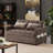 Ledjona Velvet Convertible Sofa Bed Pull Out Sleeper Sofa-83456330