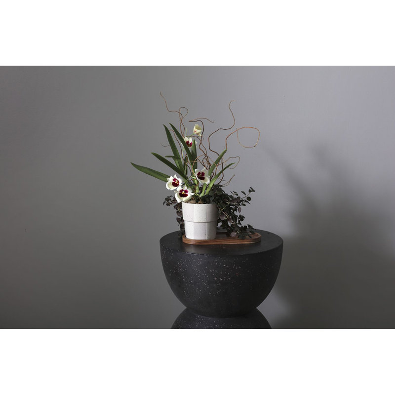 Amoreta Handmade Ceramic Pot Planter