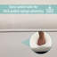 Fedor Upholstered Bench