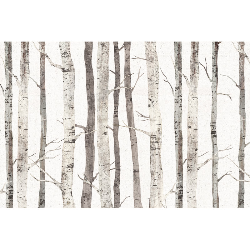 Graphic Birches - Wrapped Canvas Print, 30cm H x 46cm W x 3.8cm D