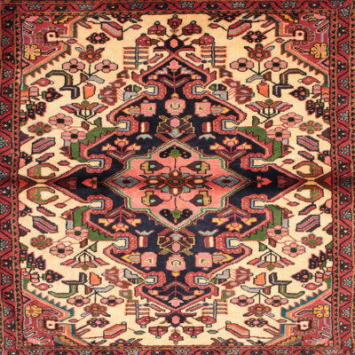 DeJuana Oriental Indoor Rug