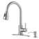 ColorLife Pull Out Kitchen Faucet