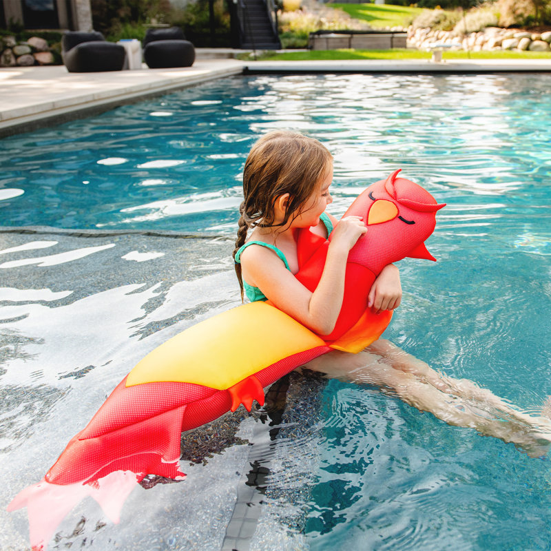 Jouet de piscine flottant Big Joe, Phoenix