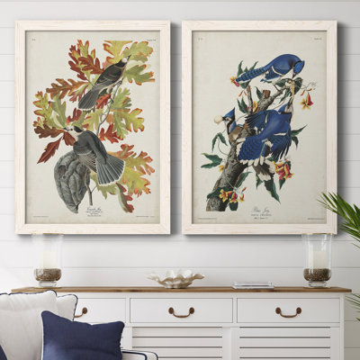 Pl 107 Canada Jay - 2 pièces, reproduction d'art sur toile