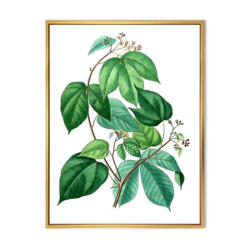 «Leaves Plants III», reproduction sur toile à cadre flottant, H 40 po x l 30 po x 1,5 po, Doré