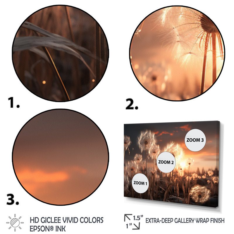 «Sunset Dandelion Field III», reproduction sur toile, Cadre photo blanc, H 12 po x l 20 po x P 1 po