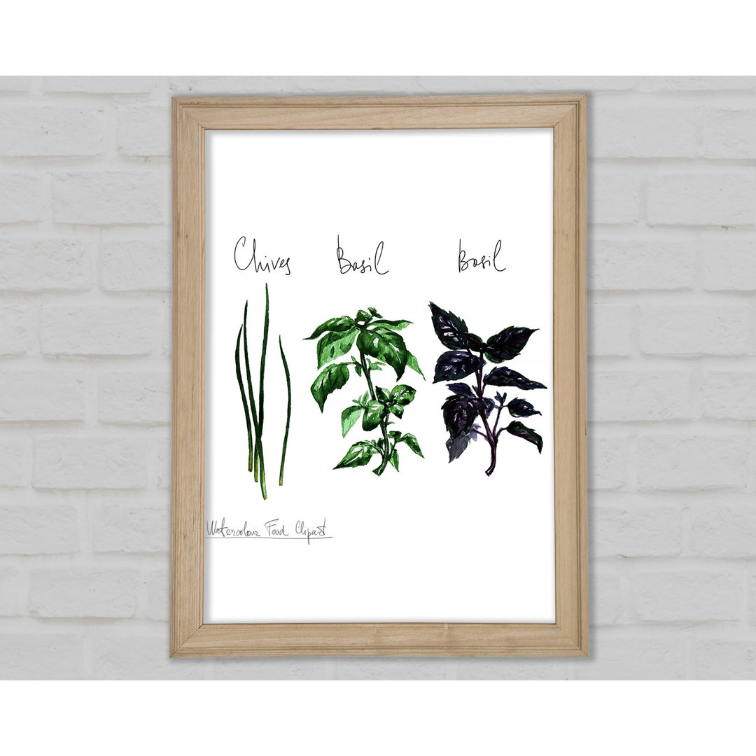 Herb Selection 4 - Einzelne Bilderrahmen Kunstdrucke