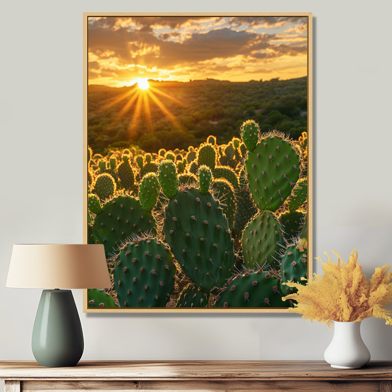 Cactus de Marinna dans la lumière du matin III - Cactus, art mural, H 44 po x l 34 po, Impression encadrée sans passe-partout