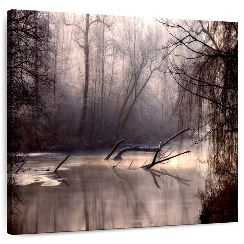 Alvord Forest Swamp