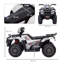 Goodloe Isabelle & Max Battery Powered Ride On-187400685