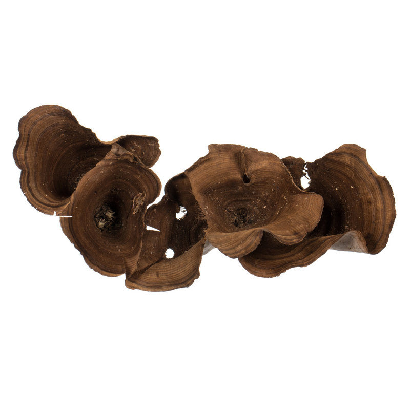 Vickerman 3-10" Natural Calice Multipiece Specimens, approximately 100 multi piece units, Dried