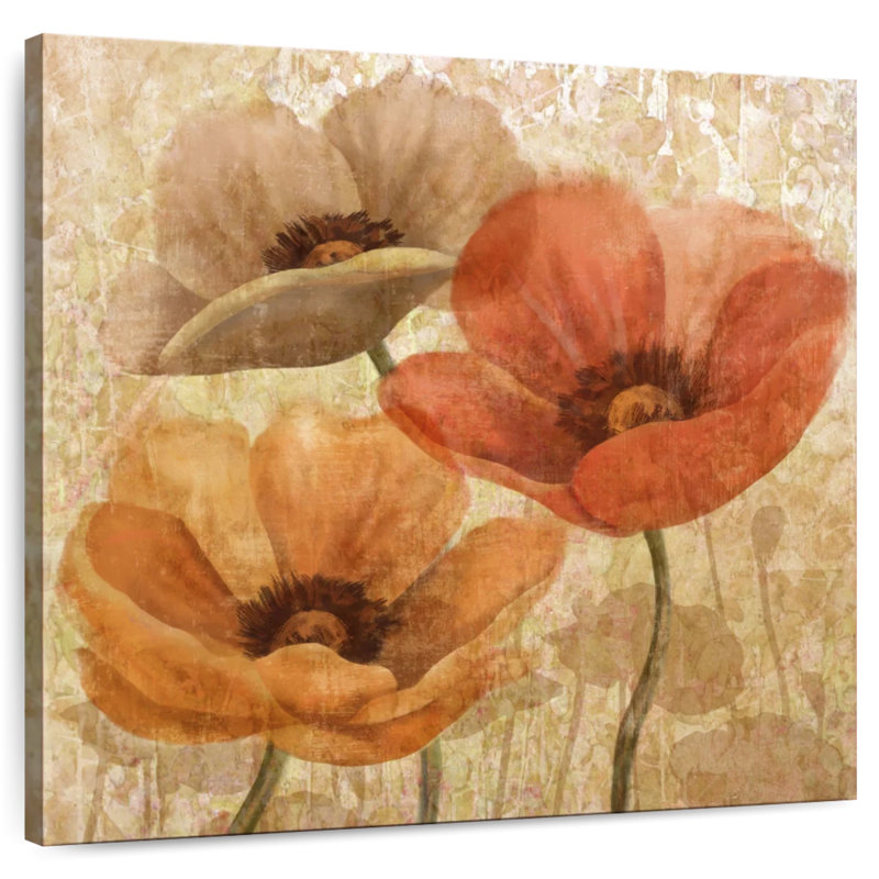 Harnek Poppy Allure II, 24" H x 24" W