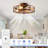  20'' Farmhouse Reversible Caged Ceiling Fan with Light Kit And Remote-1650830879