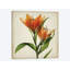 «Parchment Flowers X», impression sur toile-30306446-72564801-72564806