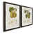 Black Framed