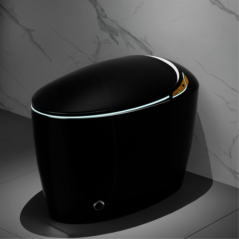 Unique Smart Toilet With Bidet Built In, Black