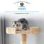 Gaffey 155cm H Cat Tree-57652512