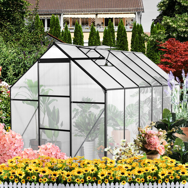 Serre toutes saisons 6 pi x 12 pi - Polycarbonate avec cadre robuste et système de drainage pour la base extérieure galvanisée