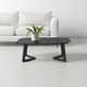 Fischer Solid Wood Coffee Table