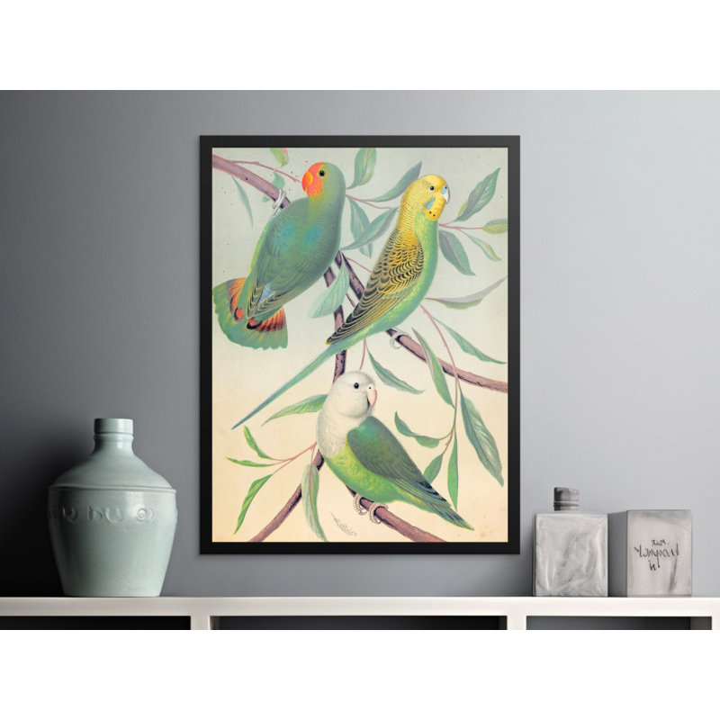 Print, 6x8