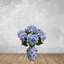 Hortensia-495532170