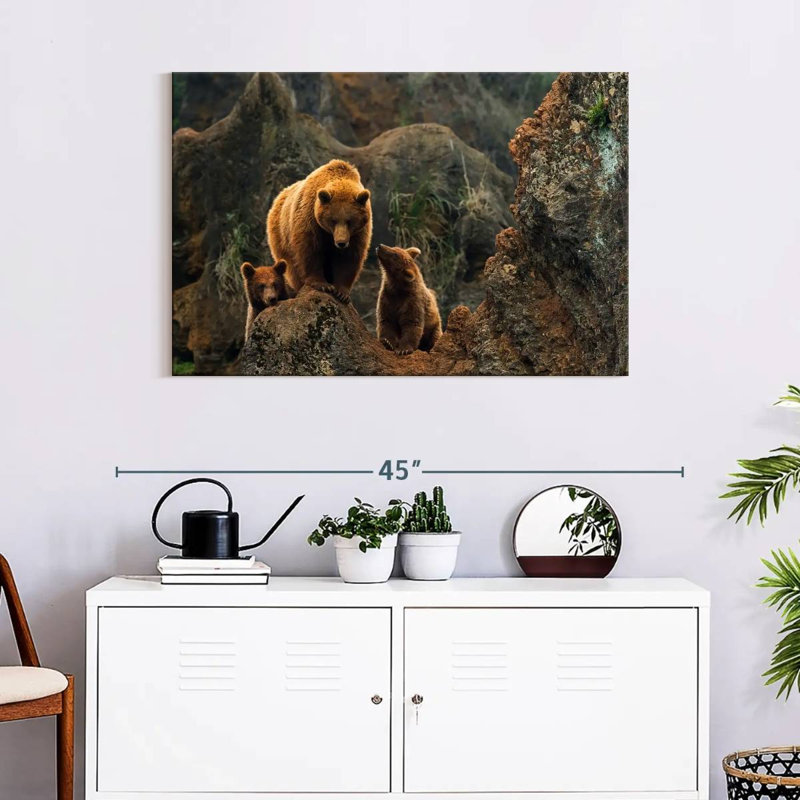 Ours bruns et petits, H 24 po x l 36 po