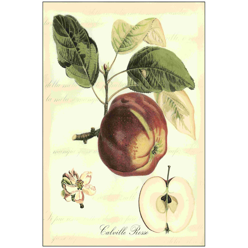 Imprimé de fruits de Toscane I