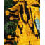 Tapis unique noué à la main Rochele - jaune