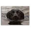 «Dog Shark» par John Silver-1550364862
