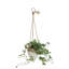 Pot de fleurs suspendu rond en terre cuite sur corde de jute-32973887