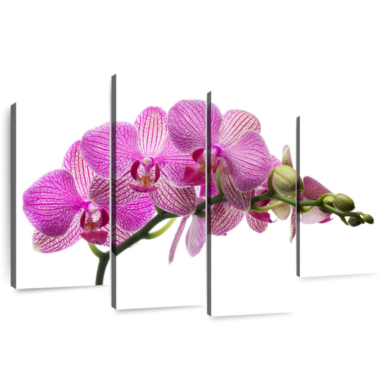 Fleurs d'orchidées fraîches Harnek, H 48 po x l 75 po