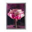 Gros plan d'une rose rétro - décoration murale traditionnelle sur toile-1400828967-1400828985
