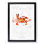 West African Crab by Albert I - Picture Frame Painting Print-55641110-55641109