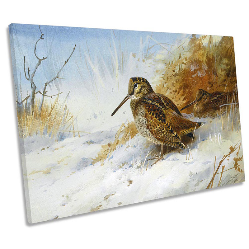 Archibald Thorburn Winter Woodcock by Archibald Thorburn - Wrapped Canvas Print, 30.5cm H x 45.7cm W x 2cm D