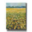  «Sunflowers» par Jadei, impression sur toile 12 po x 16 po-1425173097