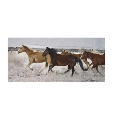 Chris Dunker " Mares On Promontory " by Chris Dunker