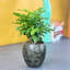 Pot à fleurs rond Smart Smart