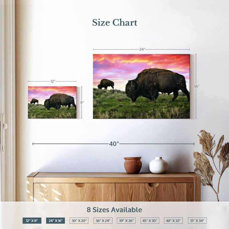 Bison And Buffalo, H 16 po x l 24 po