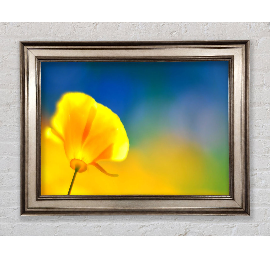 California Poppy Gelb - Bilderrahmen Kunstdrucke