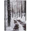 «Winter Snow Forest Trees» sur-99141682-99141684