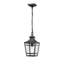 Duke Outdoor Pendant Light with Clear Glass & Metal Frame