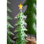  Ensemble de 3 arbres de Noël en métal recyclé sur base de bois - Pois verts
